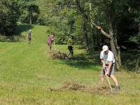 Alle Reste werden zusammengenommen