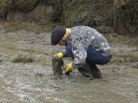 Alles wird durchsucht ...