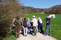 Interessante Details zu den Erlen