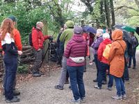 SD-20250413_092243-ABkl